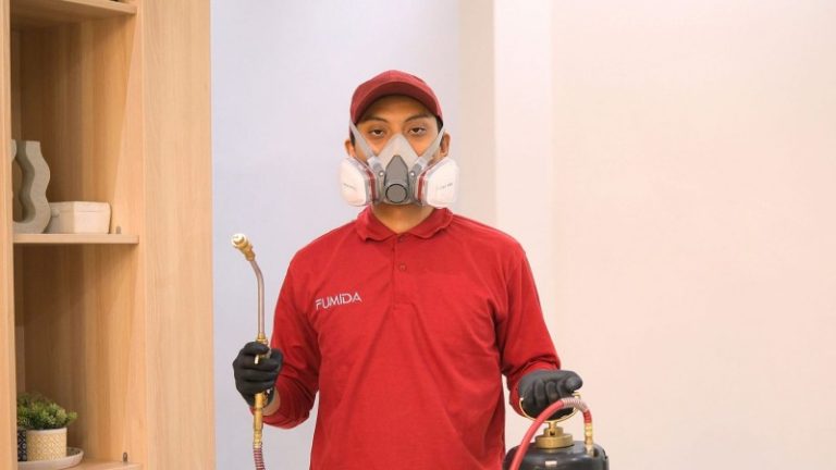 Teknisi profesional anti rayap di Jogja